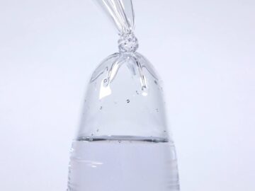 Bubble Fish Water Bag