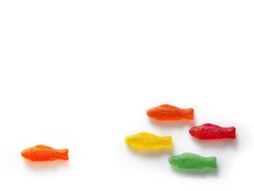 Swedish Fish School
