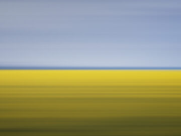 Drift 11, Mustard Field, Carman, Canada