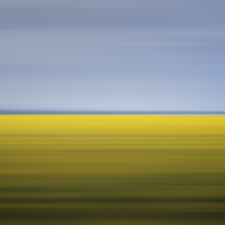 Drift 11, Mustard Field, Carman, Canada