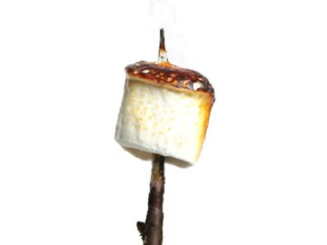 Marshmallow