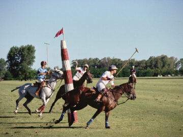 Polo In Buenos Aires