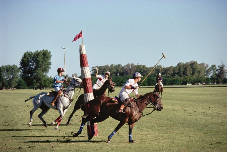 Polo In Buenos Aires