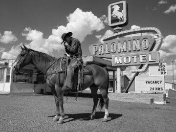 The Palomino
