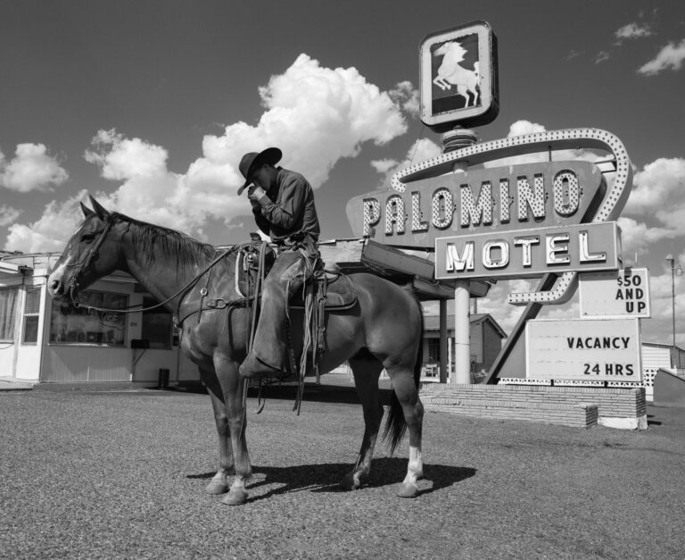 The Palomino
