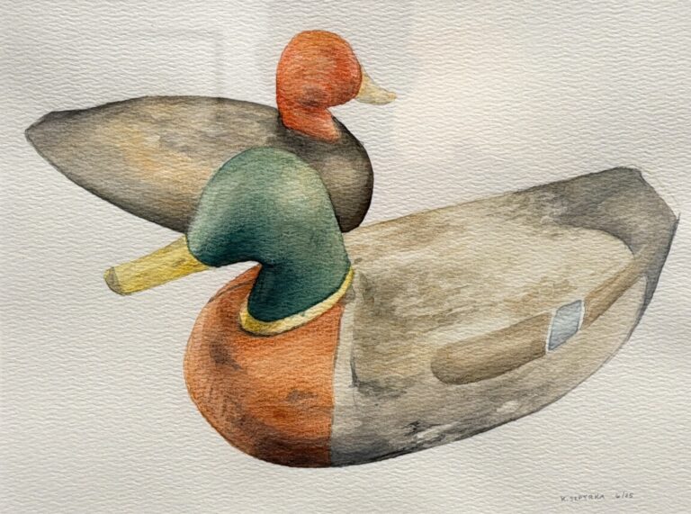 Duck Decoy 2