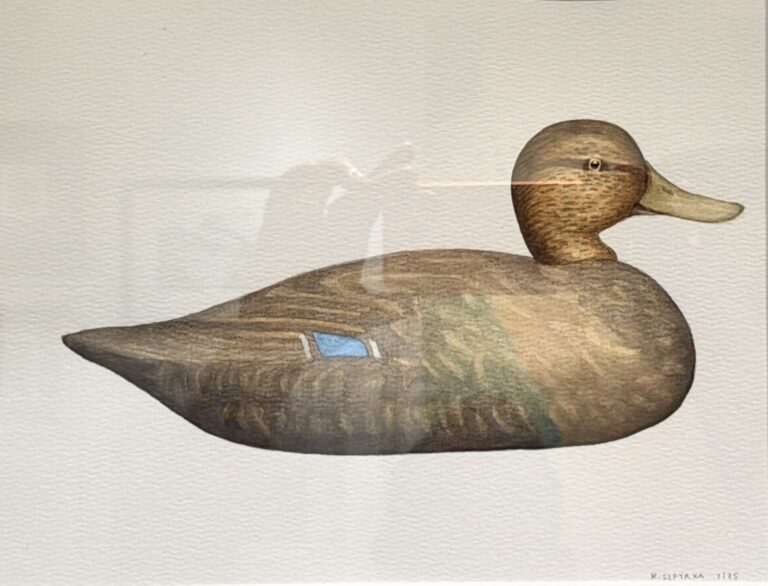 Decoy Duck 1