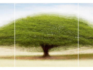 Cali #8 Triptych