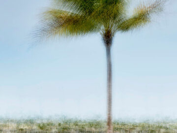 Key West #2