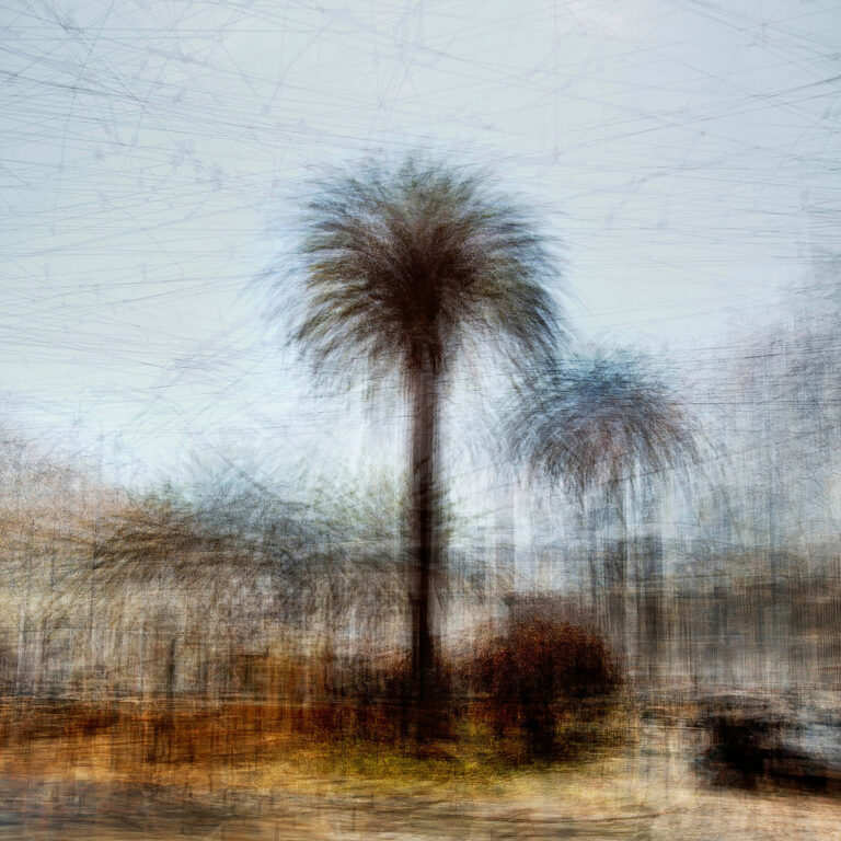 LISBON #2