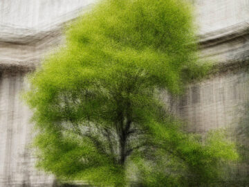 LONDON #31