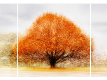Sophienholm #1 Triptych