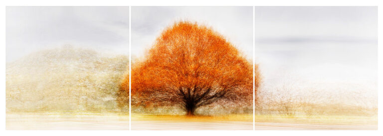Sophienholm #1 Triptych
