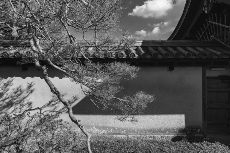 Daitoku-ji I